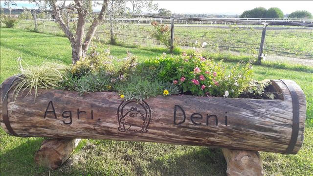 Agriturismo Deni Apartment Cenaia Ngoại thất bức ảnh